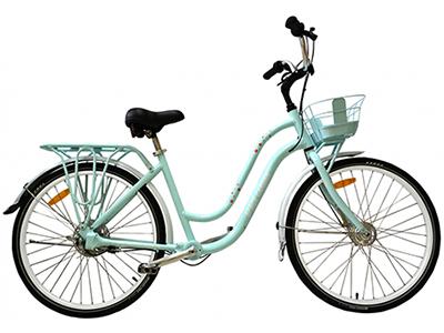 Bicicletas de paseo